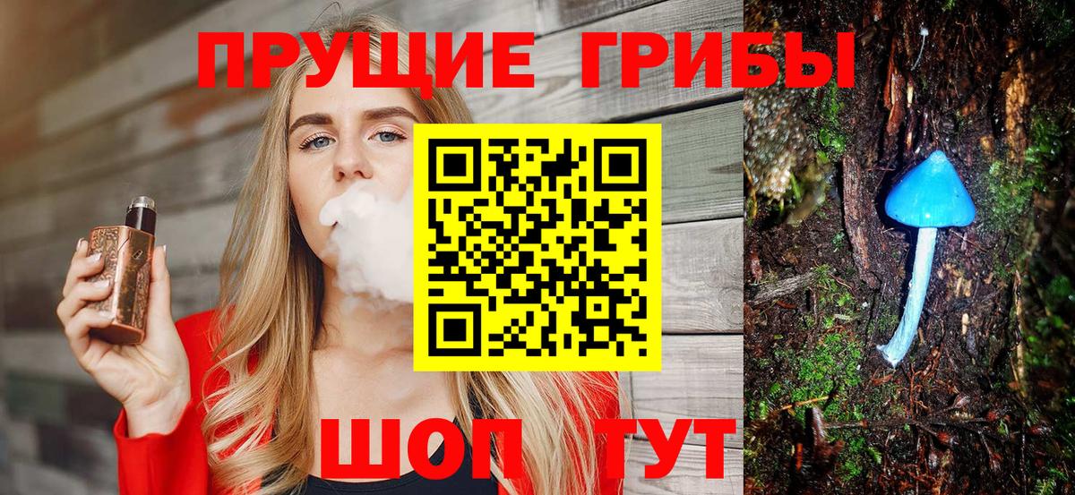 как найти закладки  Вход с VPN  Вязьма  Галлюциногенные грибы Psilocybe 