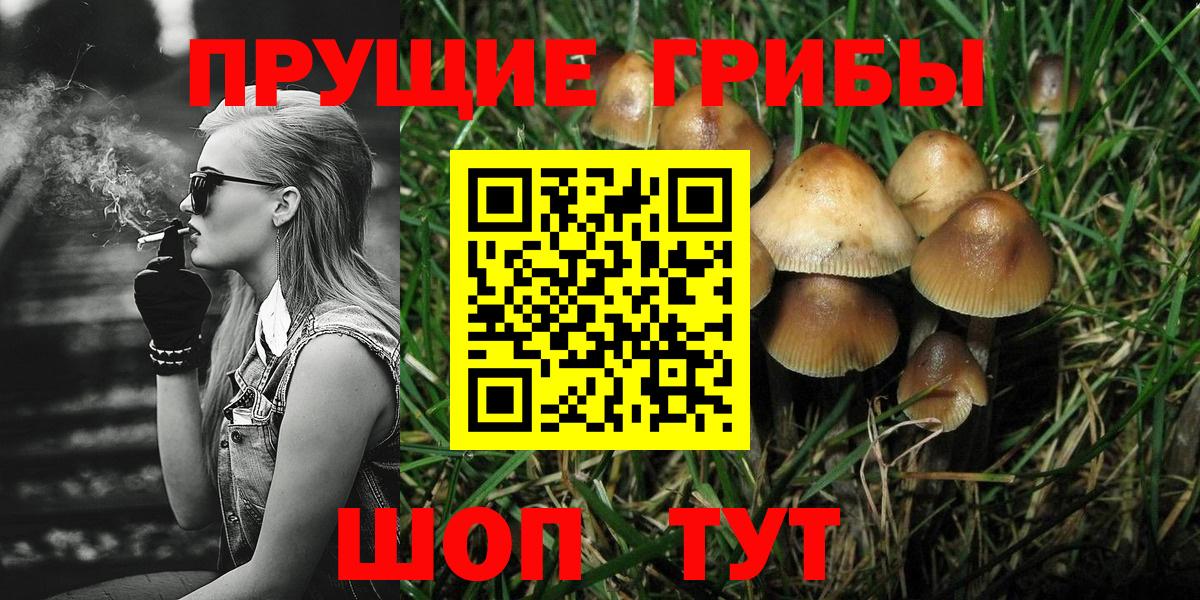 Галлюциногенные грибы MAGIC MUSHROOMS Вязьма